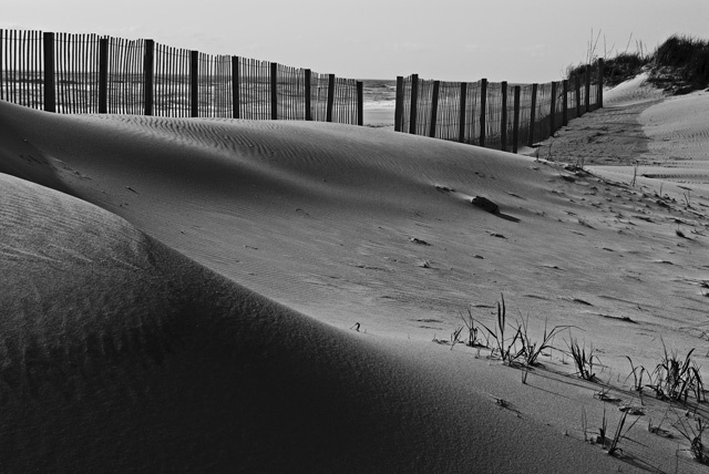Dunes and Fence II