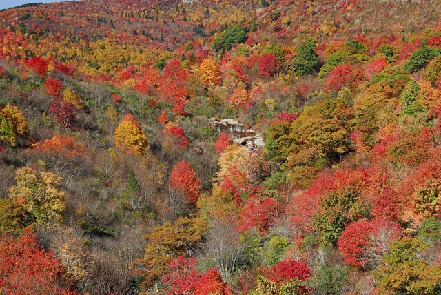 View of Graveyard Fields, NC