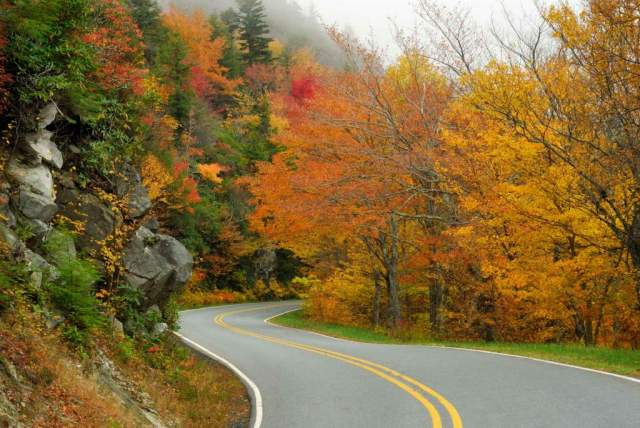 S-Curve on Highway 221 from Grandfather Mt.