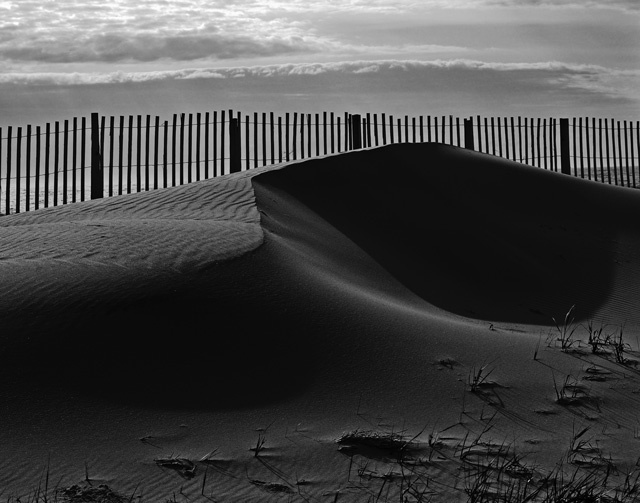 Dunes and Fence