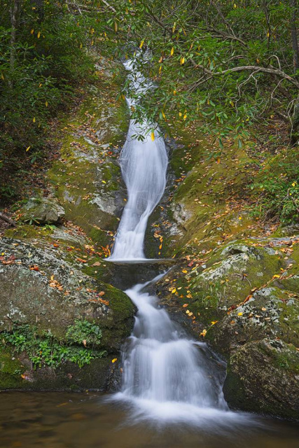 "Walker Hollow Falls"