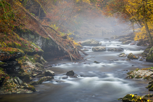 "Afternoon fog on the river"