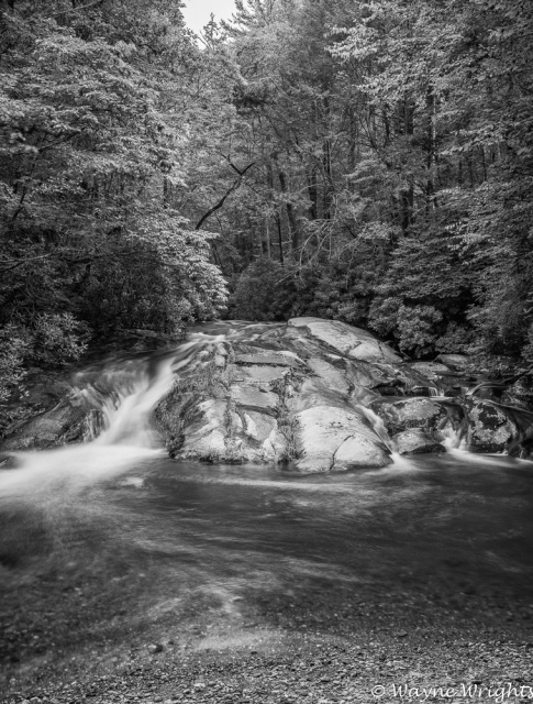 "Country Club Pool in B&W"