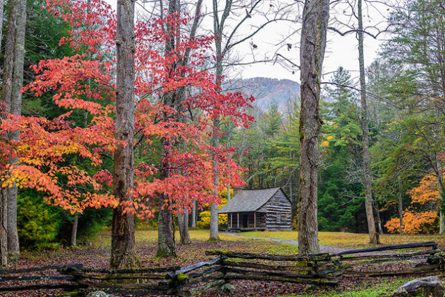 "Autumn at Carter Shields Cabin"