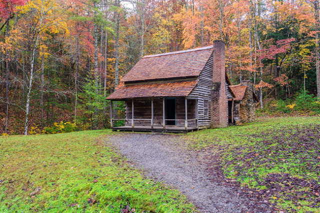 "Henry Whitehead Cabin"