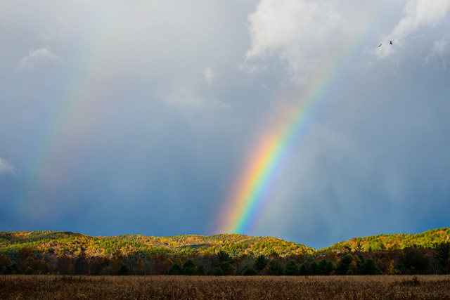 Rainbow in the Cove