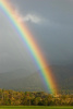 Summer Rainbow in the Cove II