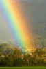 Summer Rainbow in the Cove