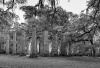 Sheldon Church Ruins, South Carolina