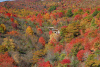 View of Graveyard Fields, NC