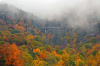 Stack Rock Bridge