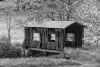 "Covered Bridge"