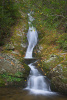 "Walker Hollow Falls"