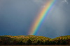 Rainbow in the Cove